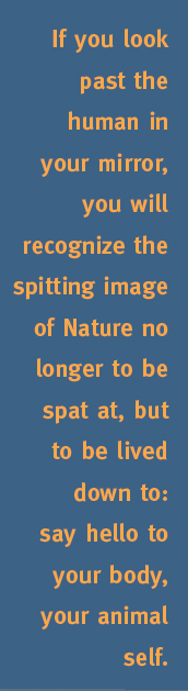 sidebar